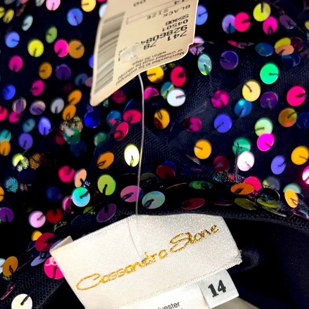 Cassandra Stone Dress NWT Size 14 Color Black - Picture 6 of 6